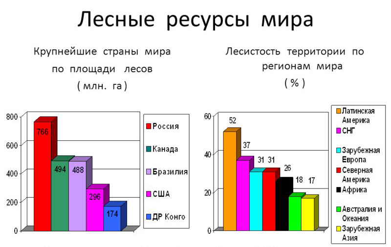 Реферат На Тему Лесные Ресурсы России